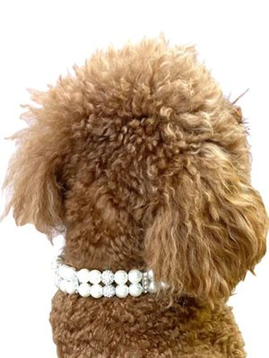 Collars, Leads & Accessories Dog Squad | Sparkle & Pearl Pleather Collar, Ivory