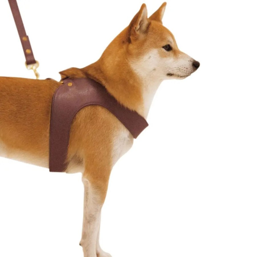 Harnesses Feroz - Urban Pet Fashion | Aubergine Dog Leather Harness