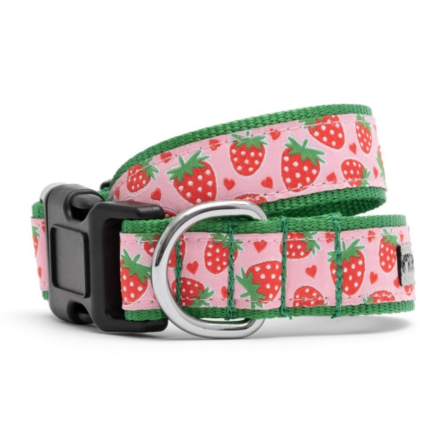 Collars, Leads & Accessories The Worthy Dog | Strawberries Collar