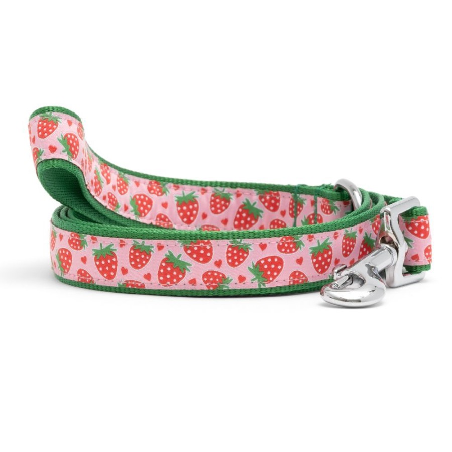 Collars, Leads & Accessories The Worthy Dog | Strawberries Collar