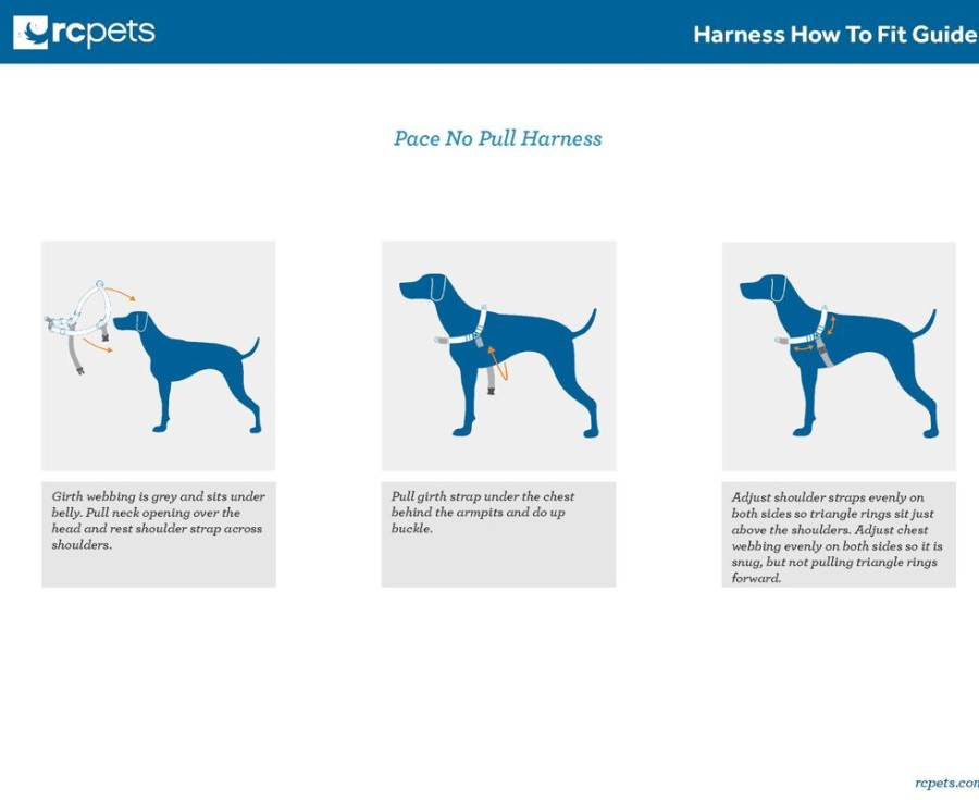 Harnesses RC Pets | Pace No Pull Harness - Royal Blue