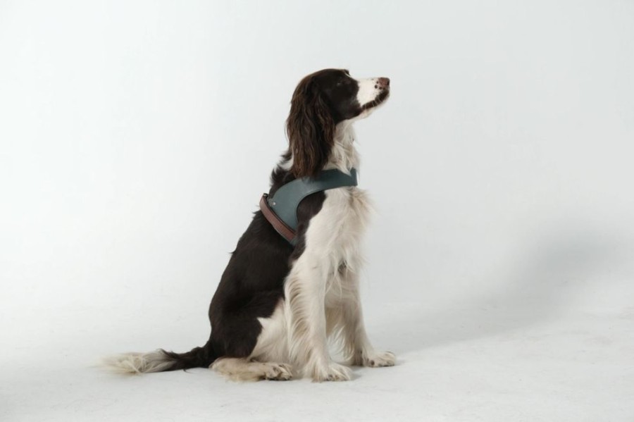 Harnesses Feroz - Urban Pet Fashion | Hunter Leather Dog Harness Green