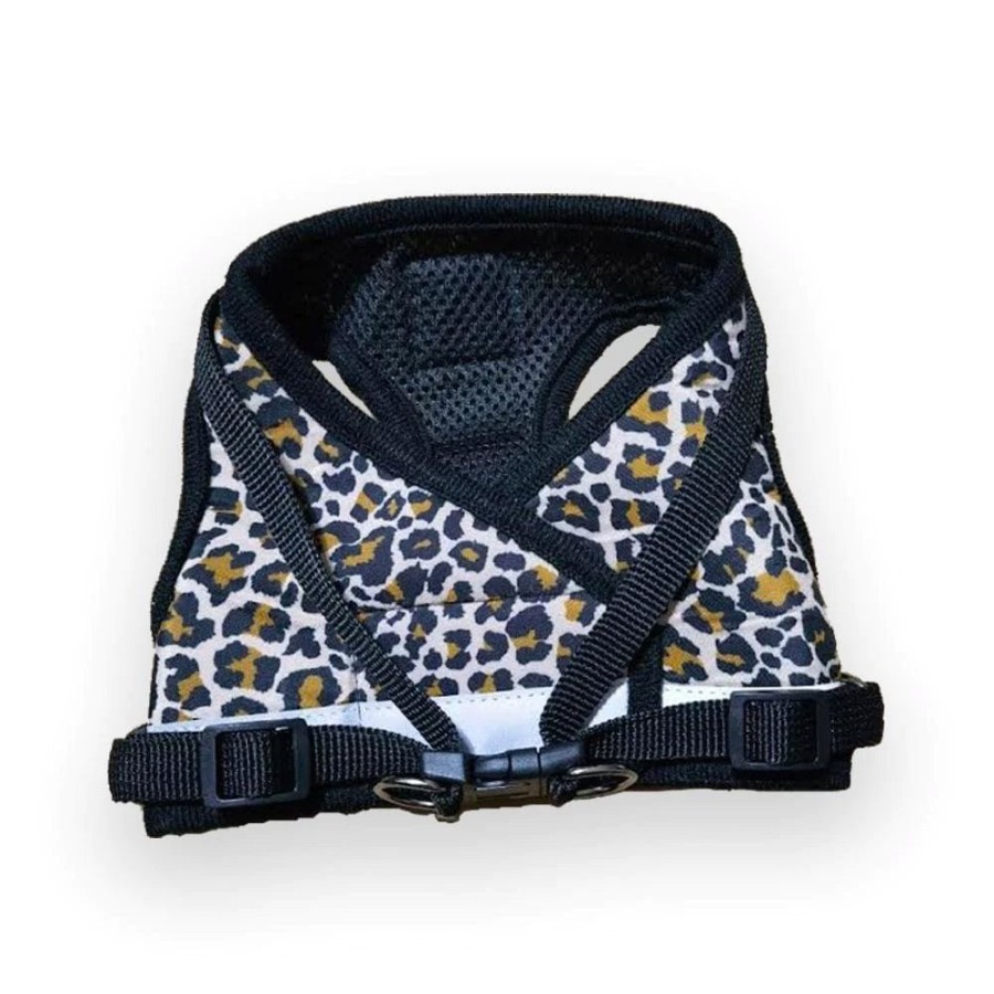 For Cats & Other Critters Travel Cat | The True Adventurer Harness & Leash - " The Cheeky Cheetah" Style