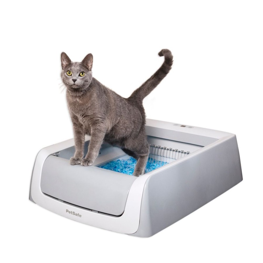 For Cats & Other Critters ScoopFree | Scoopfree® Complete Plus Self-Cleaning Litter Box