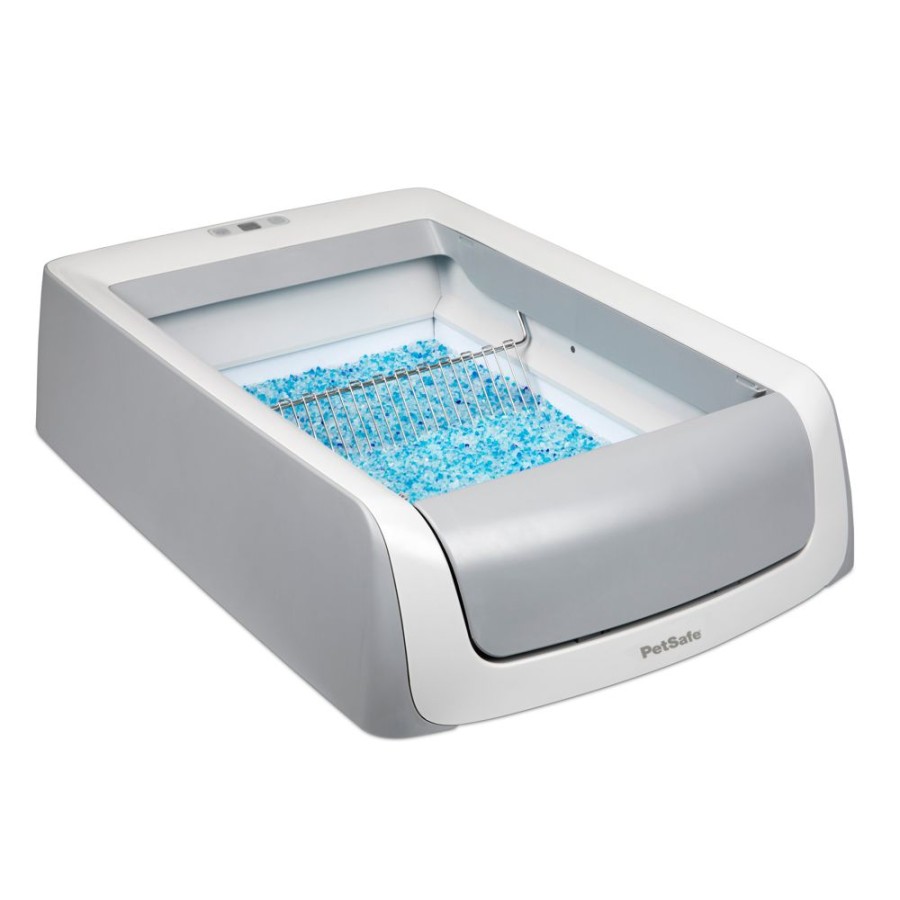 For Cats & Other Critters ScoopFree | Scoopfree® Complete Plus Self-Cleaning Litter Box