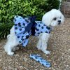 Pet Apparel (Continued) Doggie Design, Inc. | Blackberries Dog Dress With Matching Leash