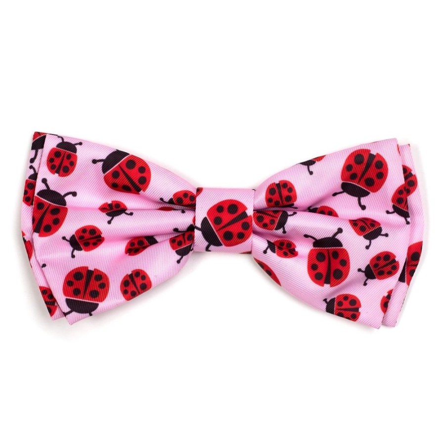 Collars, Leads & Accessories The Worthy Dog | Ladybug Collar & Lead Collection