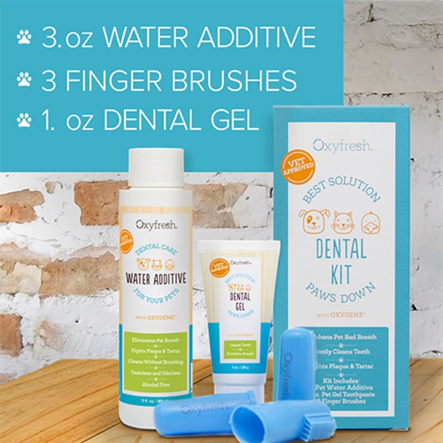 Grooming & Shampoos Oxyfresh | Pet Dental Kit