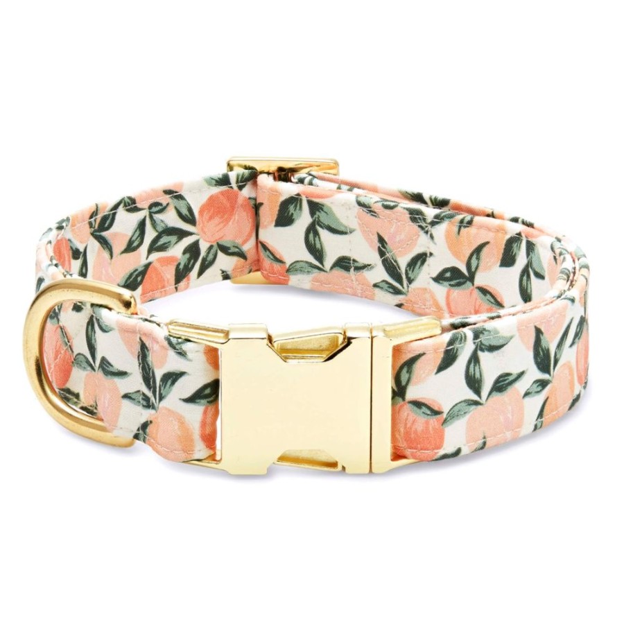 Collars, Leads & Accessories Foggy Dog | Peaches And Cream Dog Collar