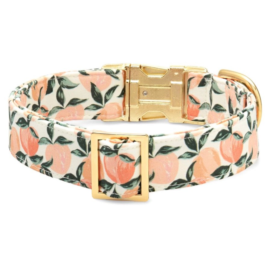 Collars, Leads & Accessories Foggy Dog | Peaches And Cream Dog Collar