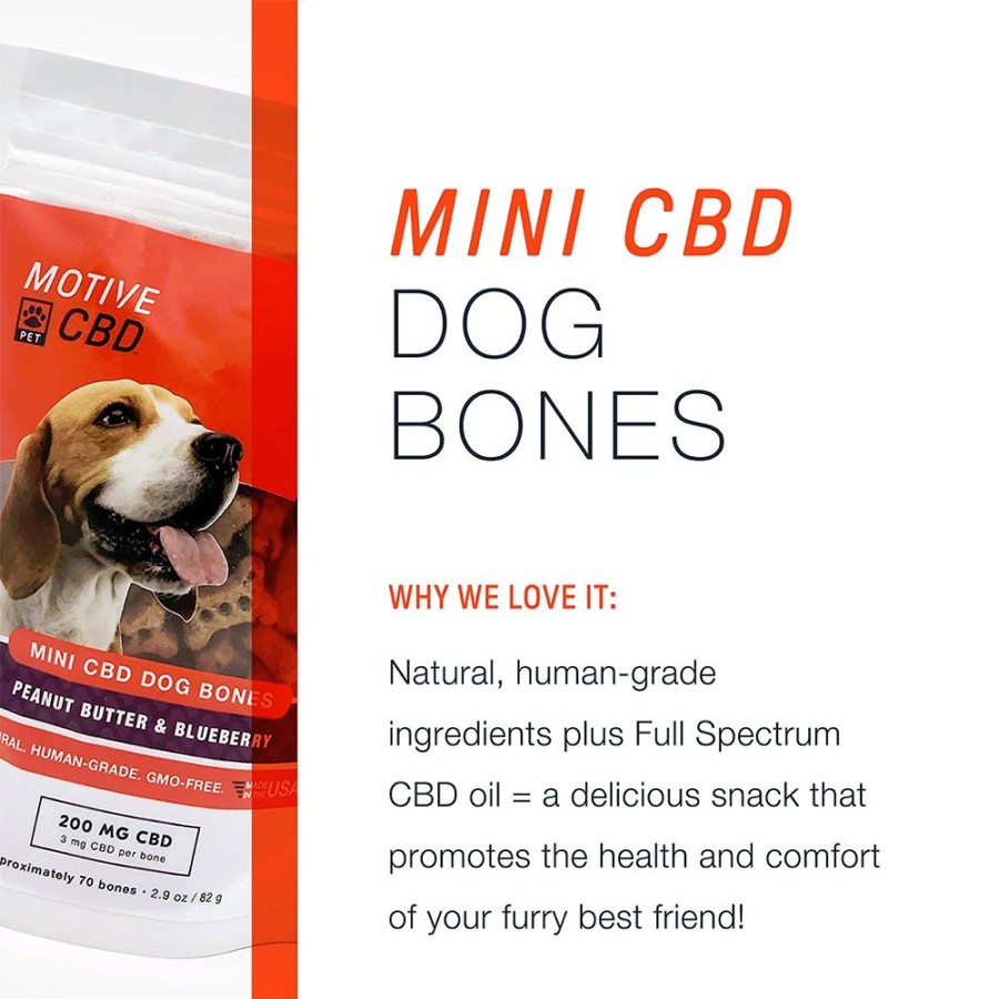 Treats Motive CBD Pet | Full Spectrum Mini Cbd Dog Bones 200Mg Peanut Butter & Blueberry