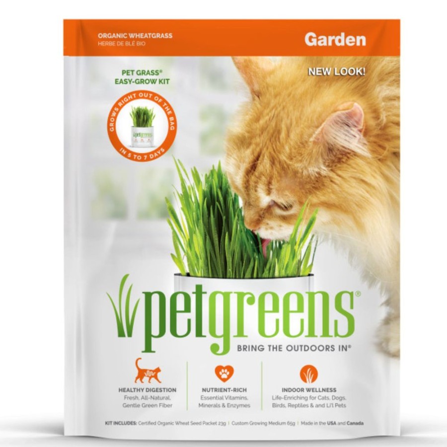 For Cats & Other Critters Bell Rock Growers | Bell Rock Growers Pet Greens Garden Self-Grow Wheatgrass Kit