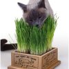 For Cats & Other Critters SmartCat® | Kitty'S Garden