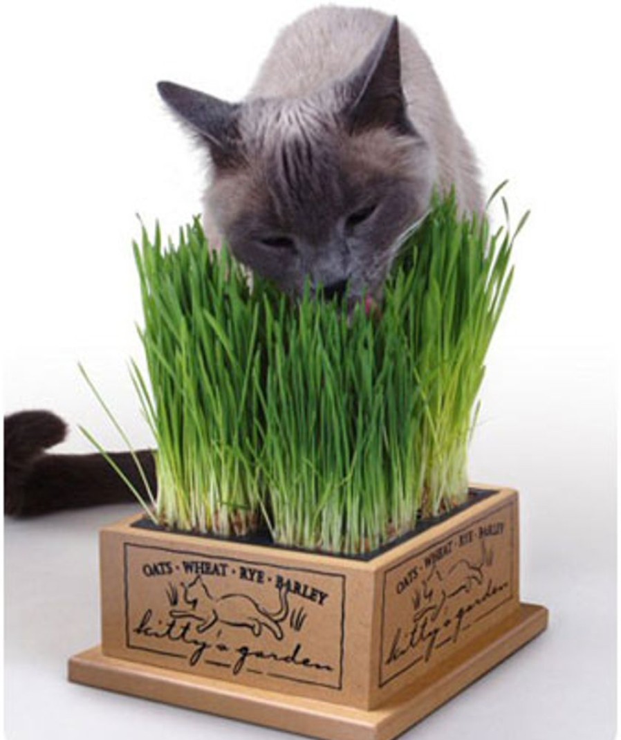 For Cats & Other Critters SmartCat® | Kitty'S Garden