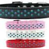 Collars, Leads & Accessories Mirage Pet Products | Sprinkles Southwest Turquoise Pearls