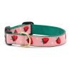 Collars, Leads & Accessories Up Country™ | Strawberry Fields Dog Collars, Leads, & Harnesses