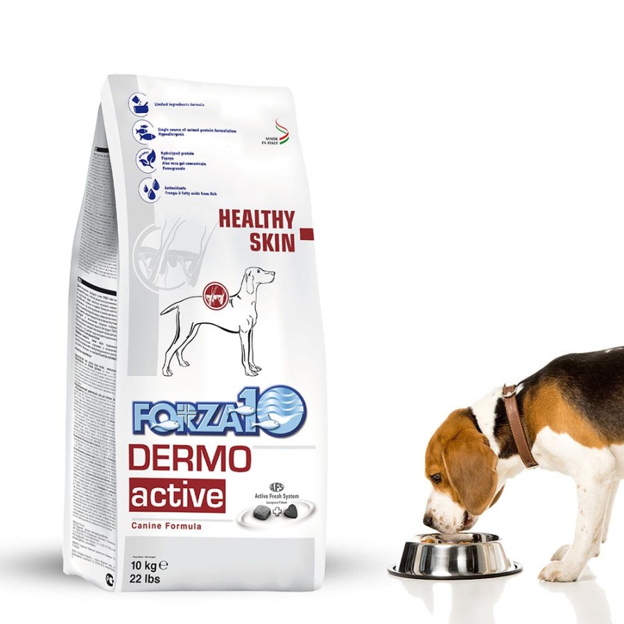 Pet Food Forza10 | Active Dermo Dry Dog Food