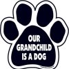 For The Home Imagine This Company | Our Grandchild Is A Dog Paw Magnets