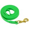 Collars, Leads & Accessories Ray Allen Manufacturing | Biothane 6' Leash (1/2" Or 3/4" ) - Colors