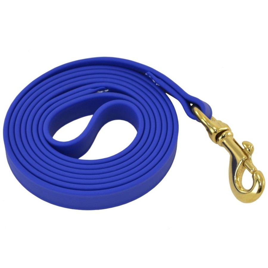 Collars, Leads & Accessories Ray Allen Manufacturing | Biothane 6' Leash (1/2" Or 3/4" ) - Colors