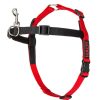 Training HALTI | Halti Harness