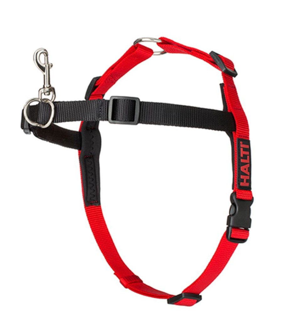 Training HALTI | Halti Harness