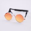 Pet Apparel (Continued) Hello Doggie | Dog Sunglasses: Orange