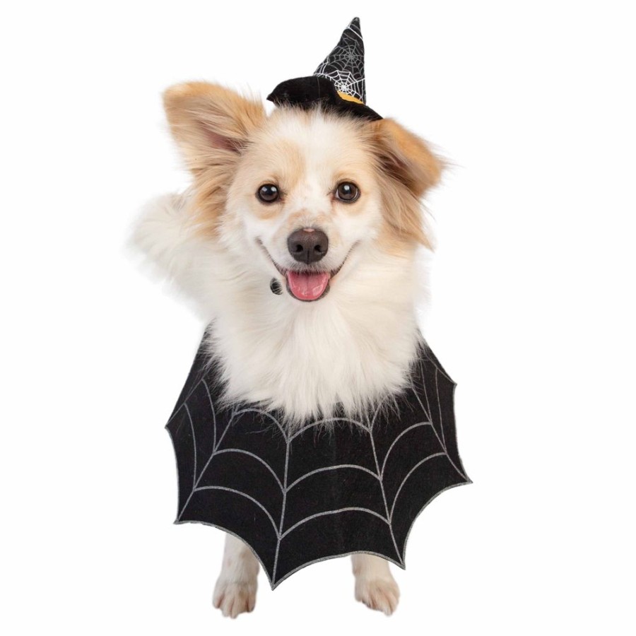 Pet Apparel (Continued) Pet Krewe | Witch Hat And Collar Set Dog Costume