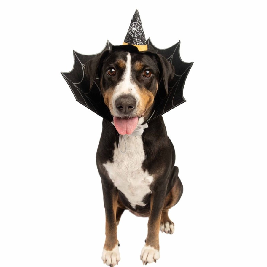 Pet Apparel (Continued) Pet Krewe | Witch Hat And Collar Set Dog Costume