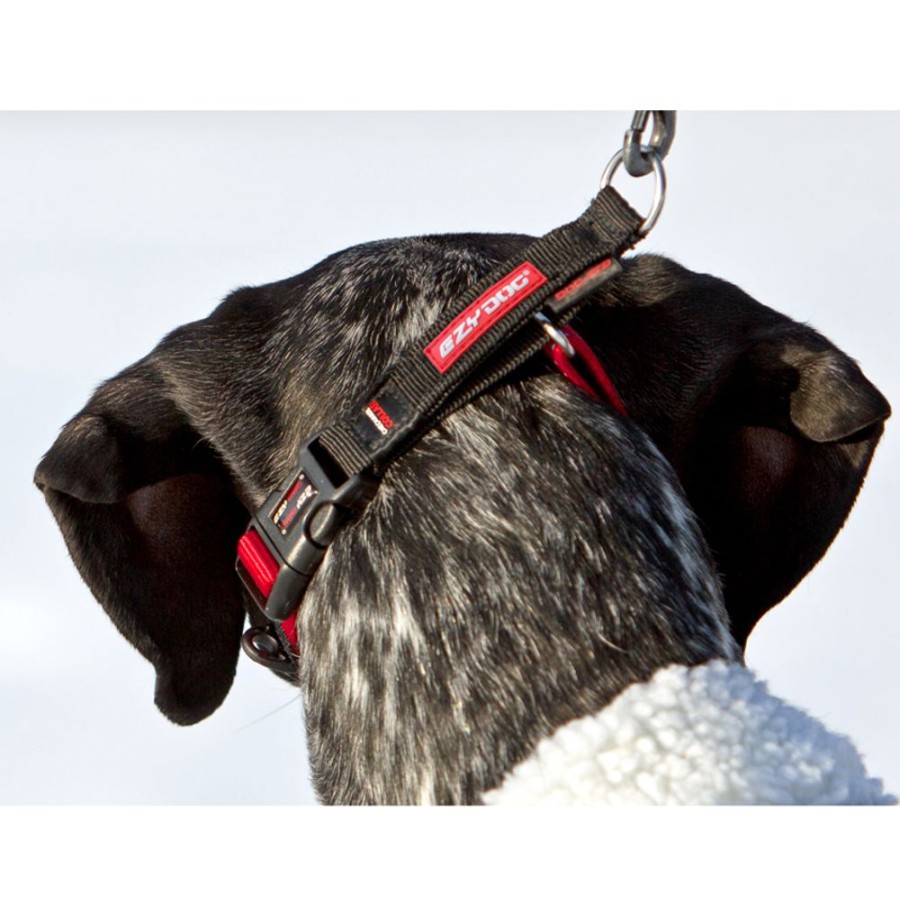 Collars, Leads & Accessories EzyDog, LLC. | Ezydog Checkmate Limited-Slip Collar