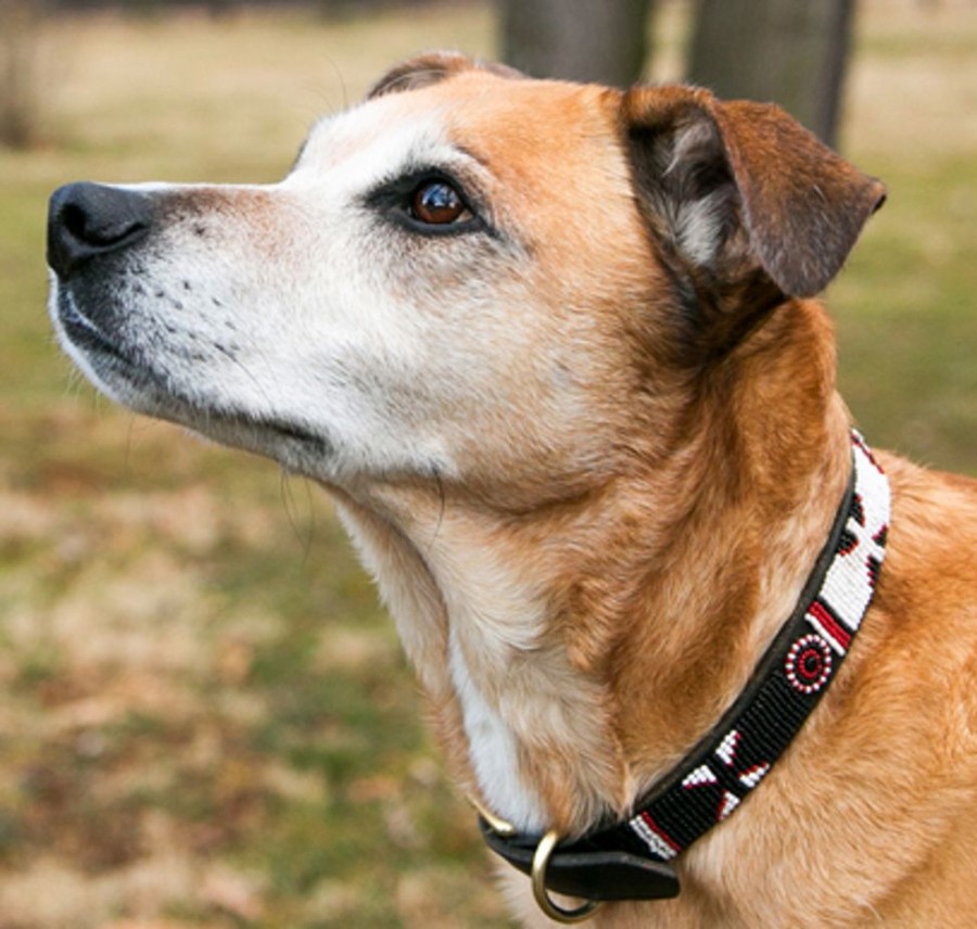 Collars, Leads & Accessories The Kenyan Collection | The Maasai Shield Collar & Leash Collection