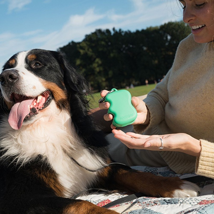 Training (Continued) Springer | Silicone Dog Treat Dispenser (Case Of 12) Springer Green