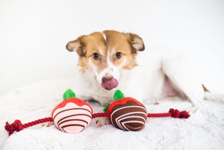 Toys & Playthings Pearhead™ | You'Re Berry Cute Valentine'S Day Dog Toy