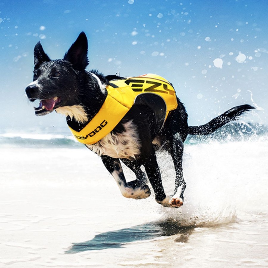 Health & Safety EzyDog, LLC. | Ezydog X2 Boost Dfd Dog Flotation Device