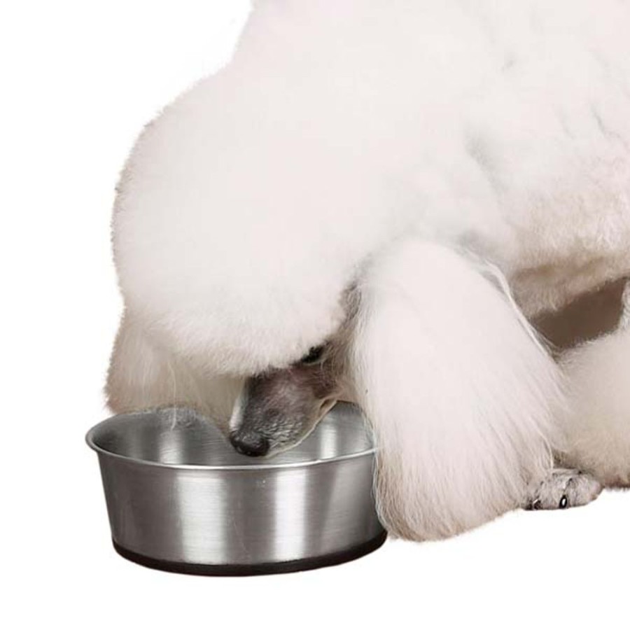 Bowls & Feeding Supplies ProSelect® | Proselect® Stainless Steel Bowls W/ Rubber Base