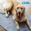 Beds, Crates, Etc. Green Pet Shop | Chillz Gel Mat Cover