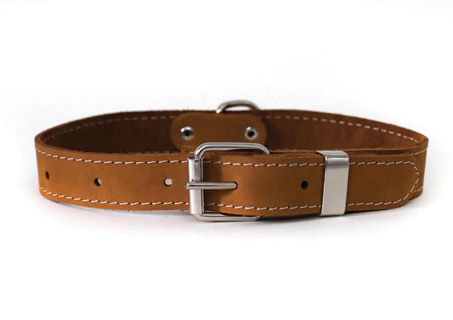 Collars, Leads & Accessories Euro Dog Collars and Leads | Bark Brown Traditional Buckle Leather Collar