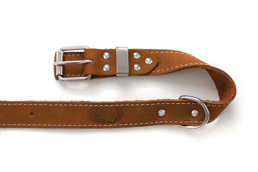 Collars, Leads & Accessories Euro Dog Collars and Leads | Bark Brown Traditional Buckle Leather Collar