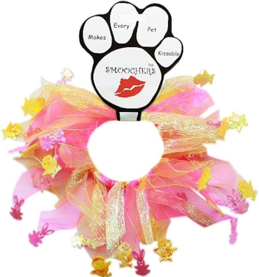 Collars, Leads & Accessories Mirage Pet Products | Easter Smoocher