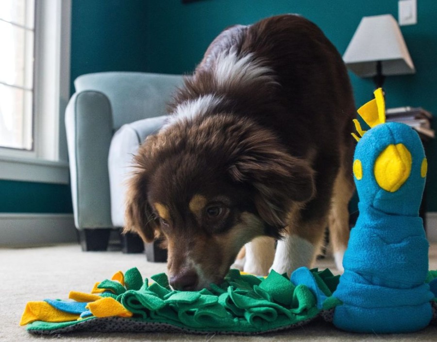 Bowls & Feeding Supplies Injoya | Peacock Snuffle Mat