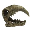 For Cats & Other Critters Komodo | Komodo Larger Saber Tooth Skull