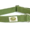 Collars, Leads & Accessories earthdog | Leaf Green Collection