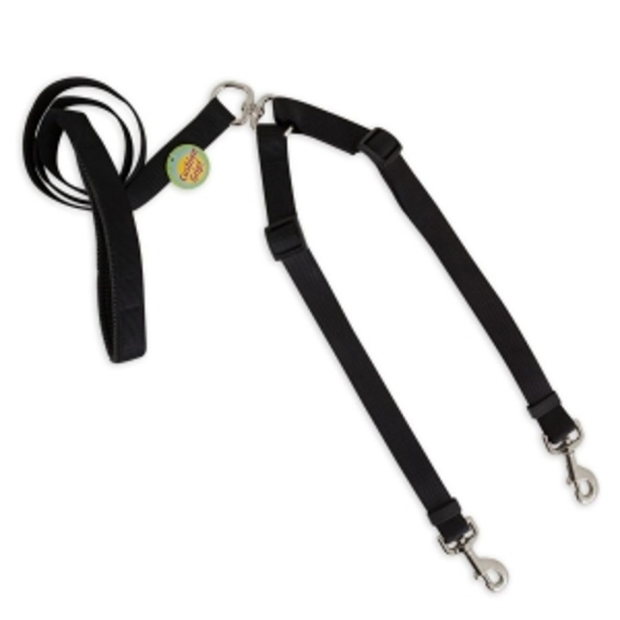 Collars, Leads & Accessories Aspen Pet® | Aspen Pet® Take Two!® Adjustable Nylon Leash With Cushion Grip