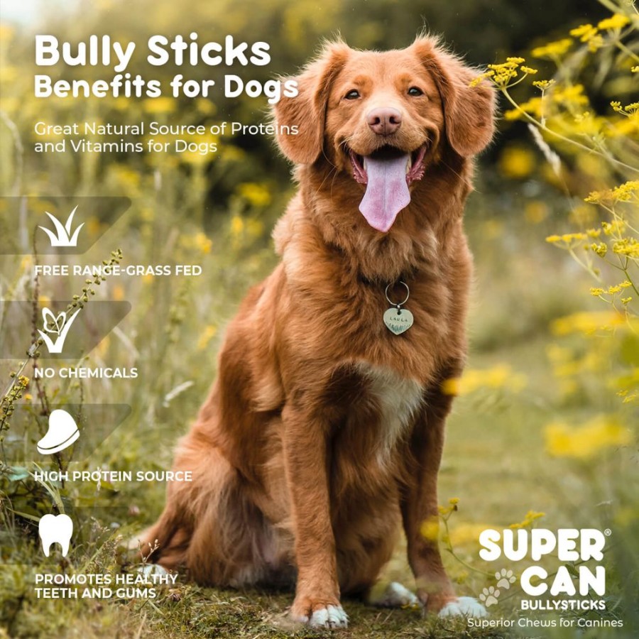 Treats SuperCan Bullysticks | 12" Mega Monster Bully Sticks