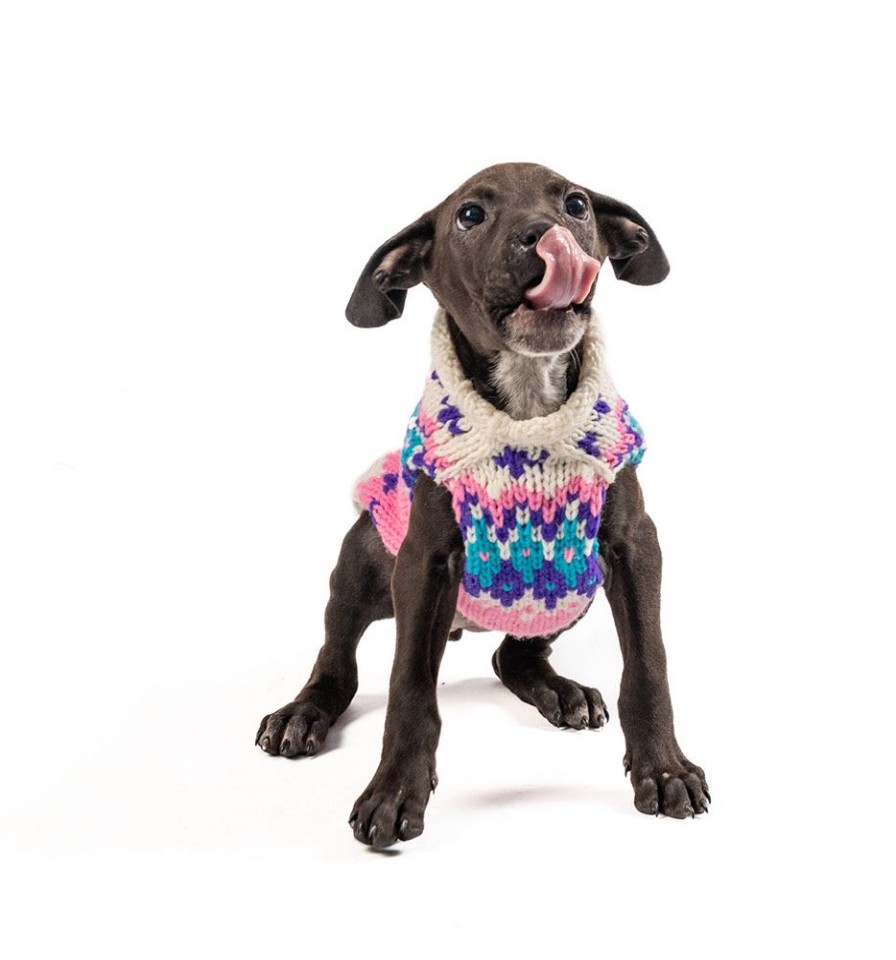 Pet Apparel (Continued) Chilly Dog | Pink Ski Bum