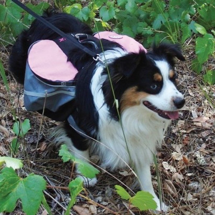 Harnesses Doggles® | Backpack Extreme Gray/Pink