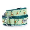 Collars, Leads & Accessories The Worthy Dog | Avocados Collar & Lead Collection