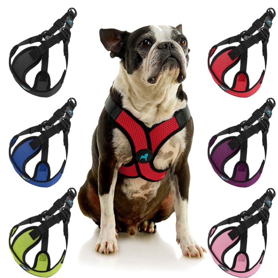 Harnesses GOOBY® | Comfort X Step In Lite (#04234)