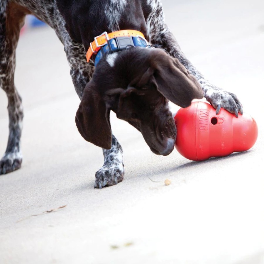 Toys & Playthings KONG® | Kong Wobbler