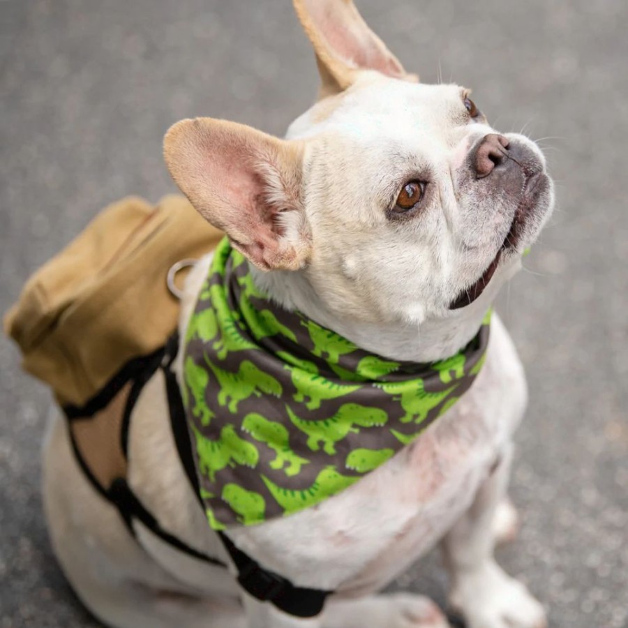 Harnesses BoxDog | Canvas Dog Adventure Backpack By Boxdog